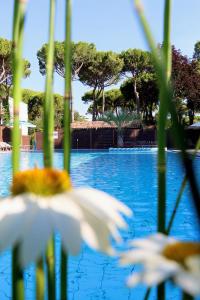 Harmonia Village
