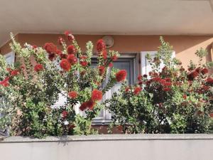 Roccesarde Apartment img17