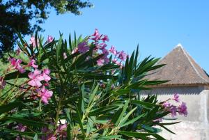 Appartements Chateau Neuf Le Desert : photos des chambres