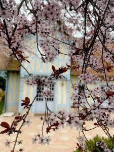 La maison bleue