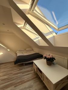 Apartmán Bílé Karpaty