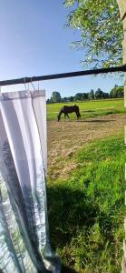 Caravan Romsicht Sneek, rustig gelegen