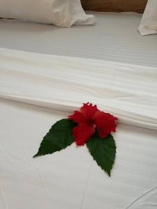 NEW Coral Breeze House Cozy Room with Private Facilities in Jambiani