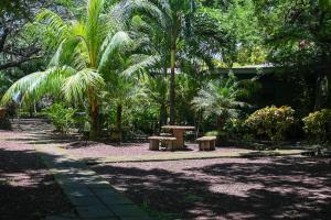 Beach-Front Bungalow