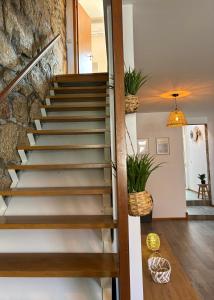 Porto Terrace House By Constanjo Homes
