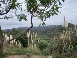 lacasitadepiedraCabana