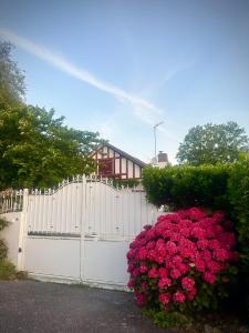 Chez Rosalie, Vue mer, les pieds dans leau