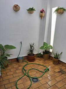 Casa salá