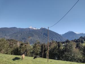 Cabaña Bellavista