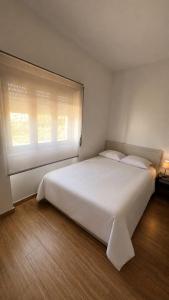 Albani Hostel