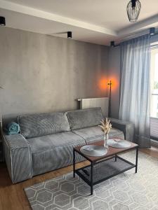 Apartament w centrum z parkingiem