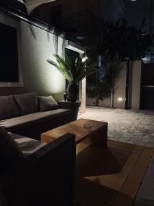 Apartment Puntamica