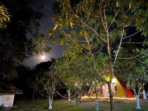 The One House Chalet