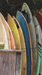 Chill and Surf Mendihuaca