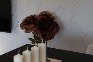 DMMASS Holiday home Istria