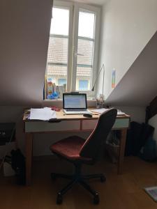 Spacious apartment in Cossonay