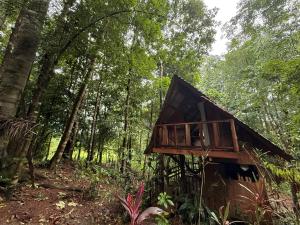 Entire Jungle Chalet Playa Ganadito