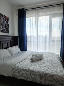 Soinan Homes