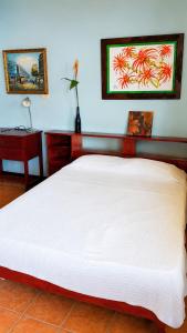 Casa Amarilla Caribbean Stay