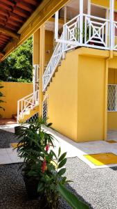 Casa Amarilla Caribbean Stay
