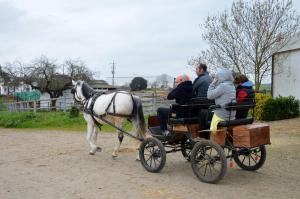 Monte da Boavista - Country family house