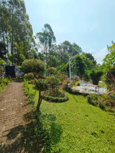 Shankara Wellness & Sanctuary