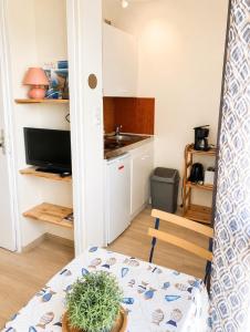 Studio - Marina 6 - 37 allée des pinons - 3-1