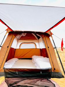 Royal Dunes Desert camp Jaisalmer-Sam-Dhanana Road