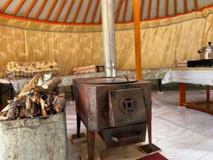 Batzaya Herder Camp
