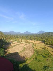 Munduk Bali Harmoni