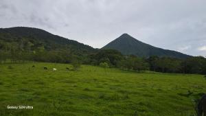 Tío Felix Eco Lodge
