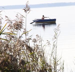 Lodges Lodging Le Lac : photos des chambres