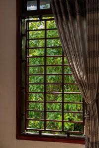 Live like a local Homestay - Cozy Garden Room
