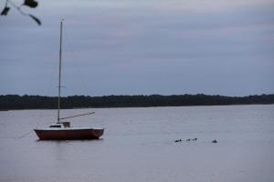 Lodges Lodging Le Lac : photos des chambres