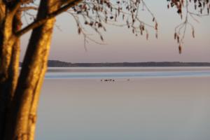 Lodges Lodging Le Lac : photos des chambres