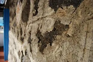 Dammusi Punta Fram - Pantelleria