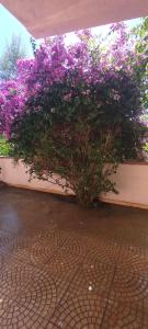 La casa nel borgo, in a cozy charming village, 15 min to Beach, Small pets welcome
