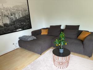 Village Apartment Rheinbreitbach