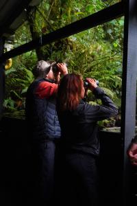 Natural Luxury Birding Lodge - Premium Birdwatching near Cali