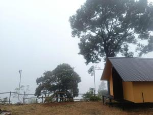 Mount Camp