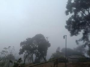 Mount Camp
