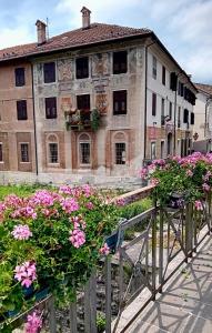 il Bucaneve