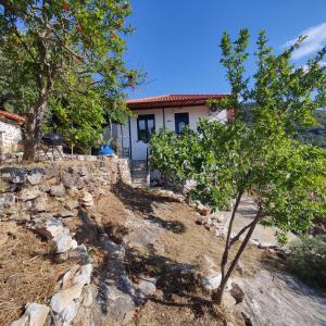 Villa Nadya