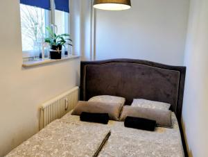 Studio Park Śląski m.10 KatowiceChorzów