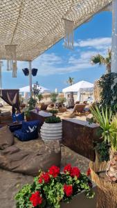 Dolce Vita near the coast
