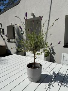 VILLA MARE HOUSE POBIEROWO Tarasy Garden Grill & Parking inclusive