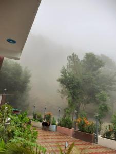 Deepraj Homestay and Restuarant