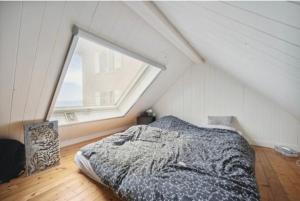 Maison pieds dans leau - Jacuzzi & sauna