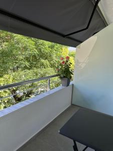 Silver Stone Studio Apartments