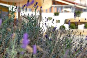 Ayurveda Resort MANDIRA
